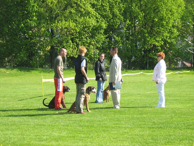 www.atibox.net * www.euroboxer.eu * www.boxergenealogia.eu